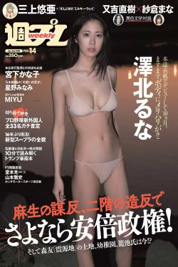 宠物小精灵之小智